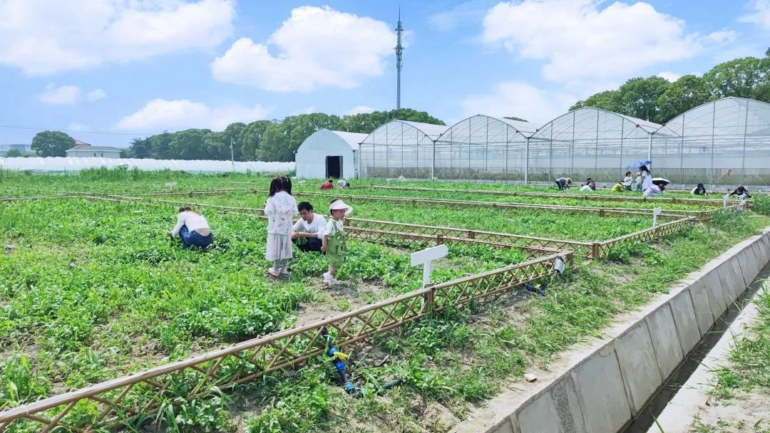 拥有一块"私人菜园",深度体验农耕乐趣,享受亲子田园