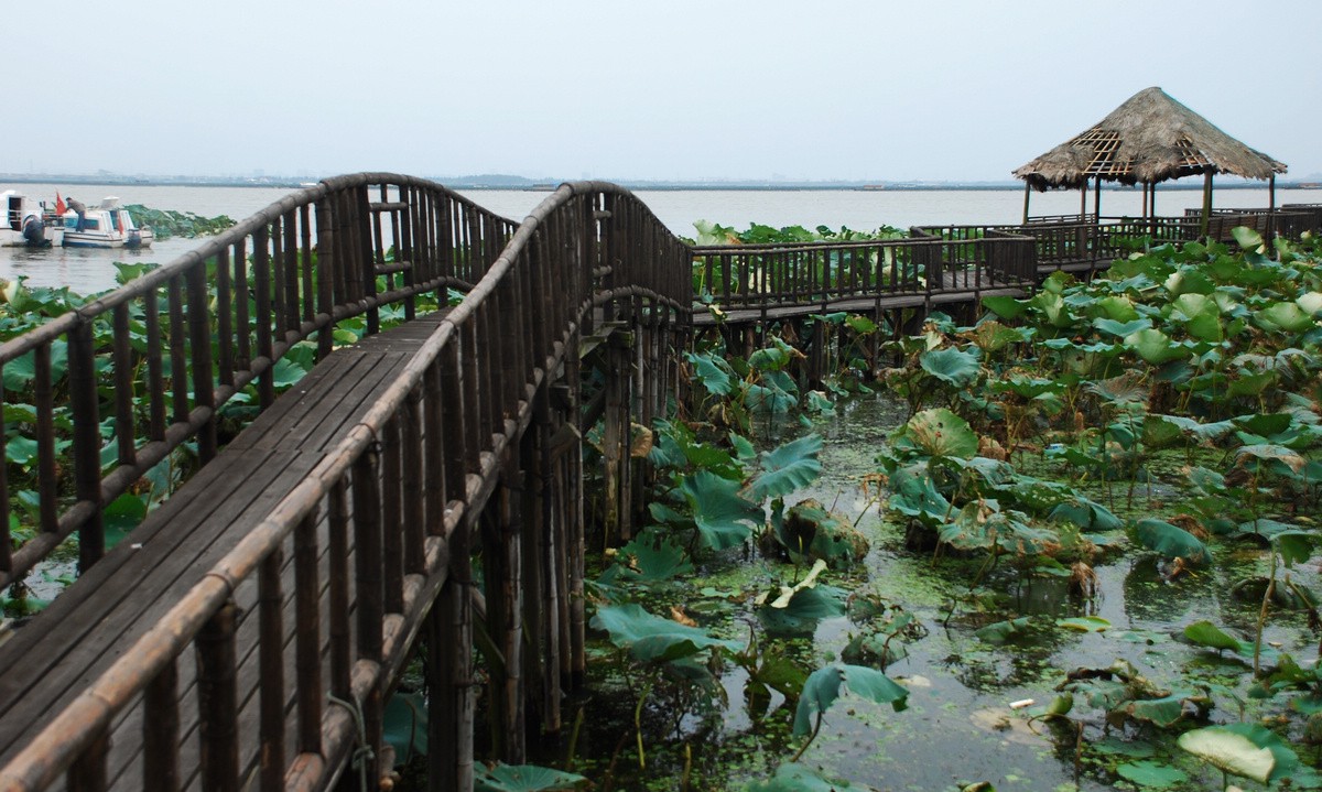 阳澄湖在哪里?哪个省的?