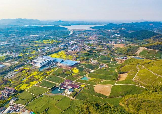 赞!宜兴市太华镇成功入选2019-2021 年度江苏省文明乡镇