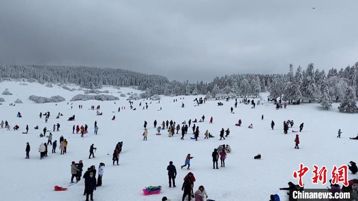 北京冬奥会带热冰雪运动 川渝滑雪胜地仙女山掀起冰雪运动热潮