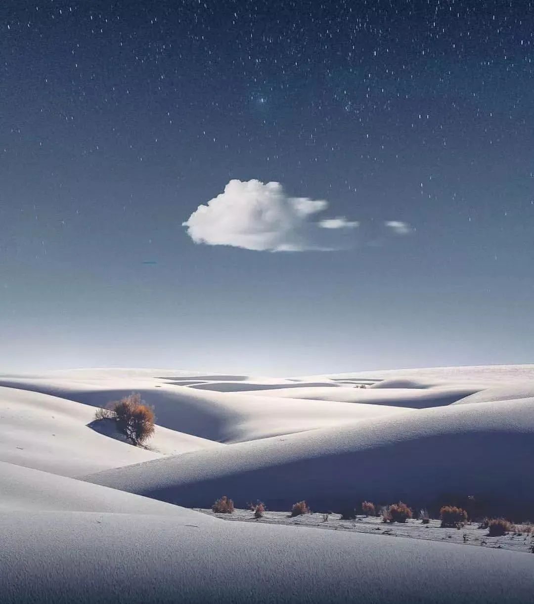 震撼!获奖摄影作品,每张都堪称大片