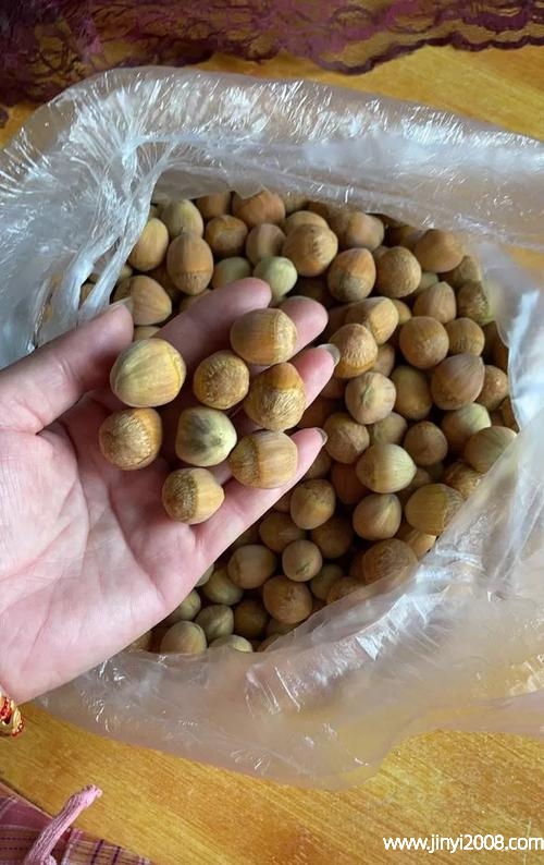 新鲜榛子外壳发霉怎么处理(新鲜榛子有什么营养和功效)