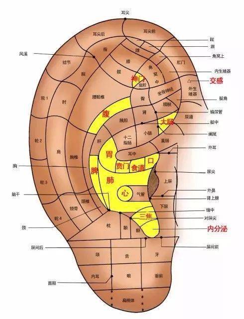 睡不着?中医这套耳朵三部曲