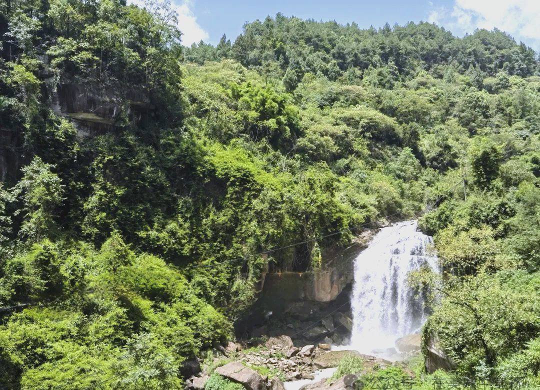 重庆巴南区高洞子水库:探访周边美景与设施