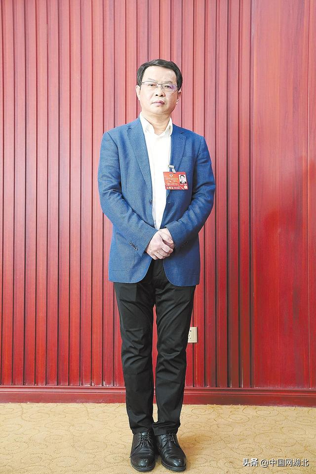 全国政协委员郑军:推进新型城镇化建设 促进革命老区发展