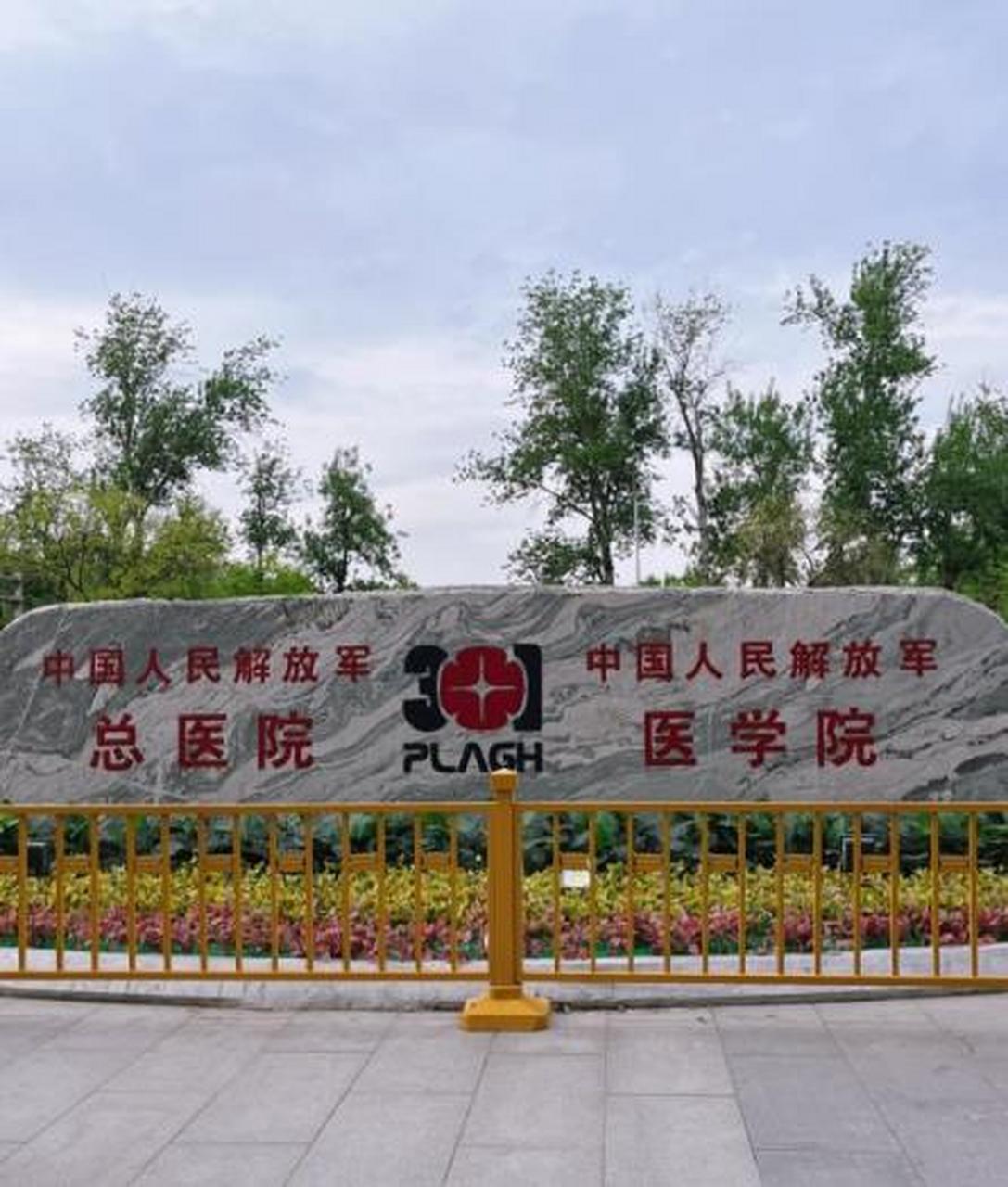关于武警总医院陪诊团队黄牛联系方式的信息