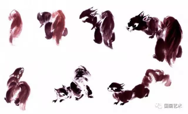 图文教程:写意松鼠画法详解