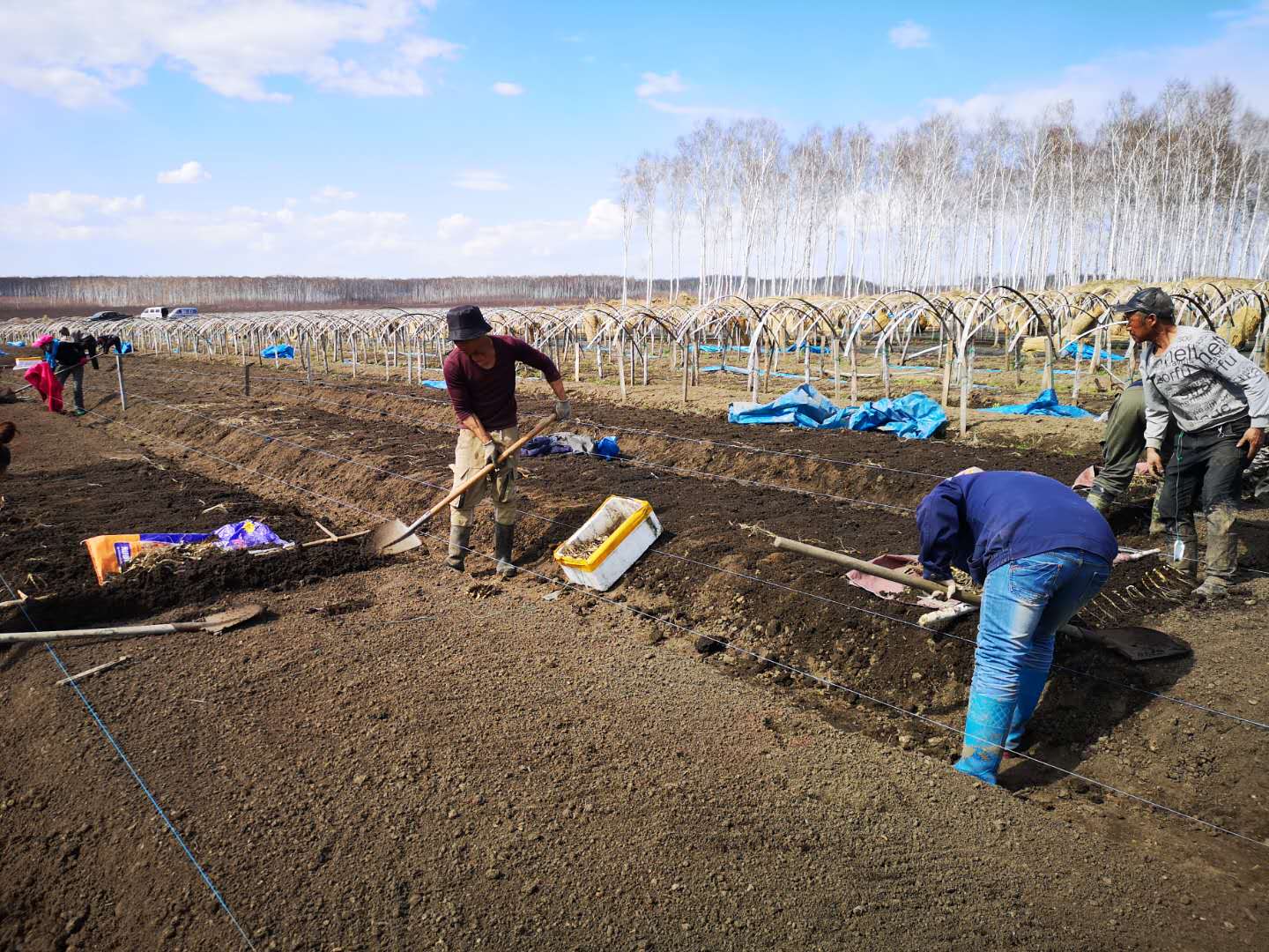 人参基地 - 2020年最新商品信息聚合专区 - 百度爱采购