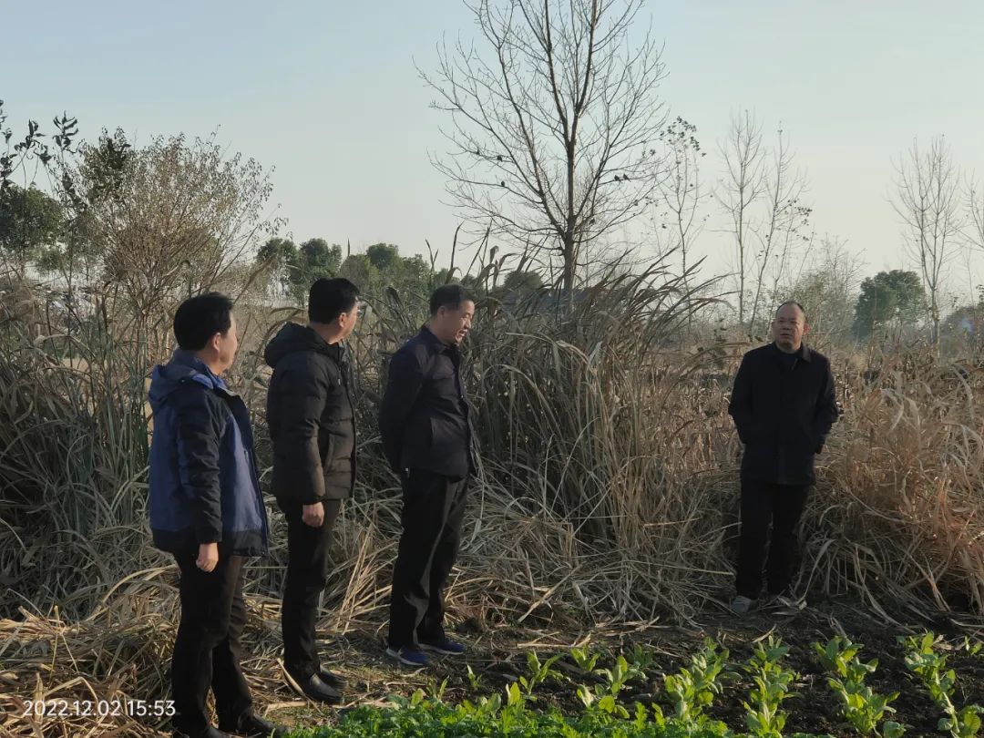 陶春雨赴寿县迎河镇督导迎河法庭建设工作