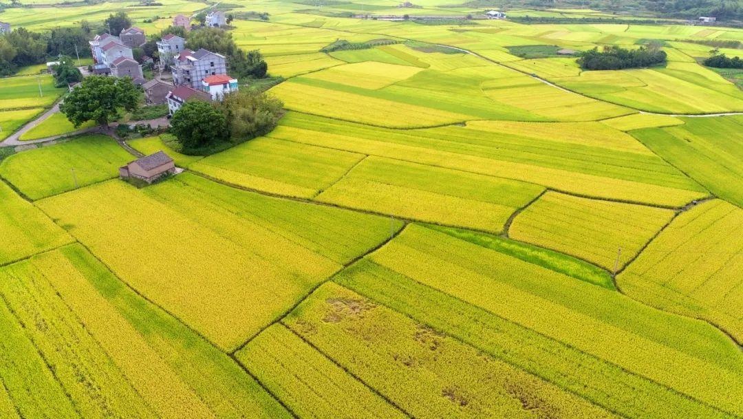 百度爱采购首页 商品专题_油画地址:台州市仙居县朱溪镇大洪村(免费)