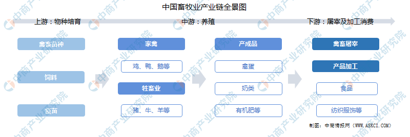 2022年中国畜牧业产业链上中下游市场剖析(附产业链全景图)