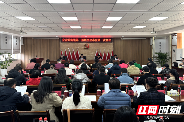 金盆岭街道举办首届居民议事会 议事"小平台" 撬动民生"大治理"
