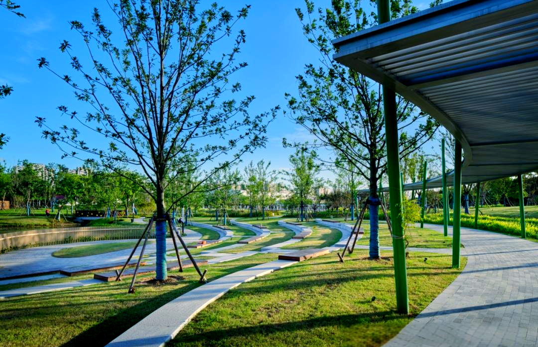陈行公园扩建与维护:迎接新面貌开园之日