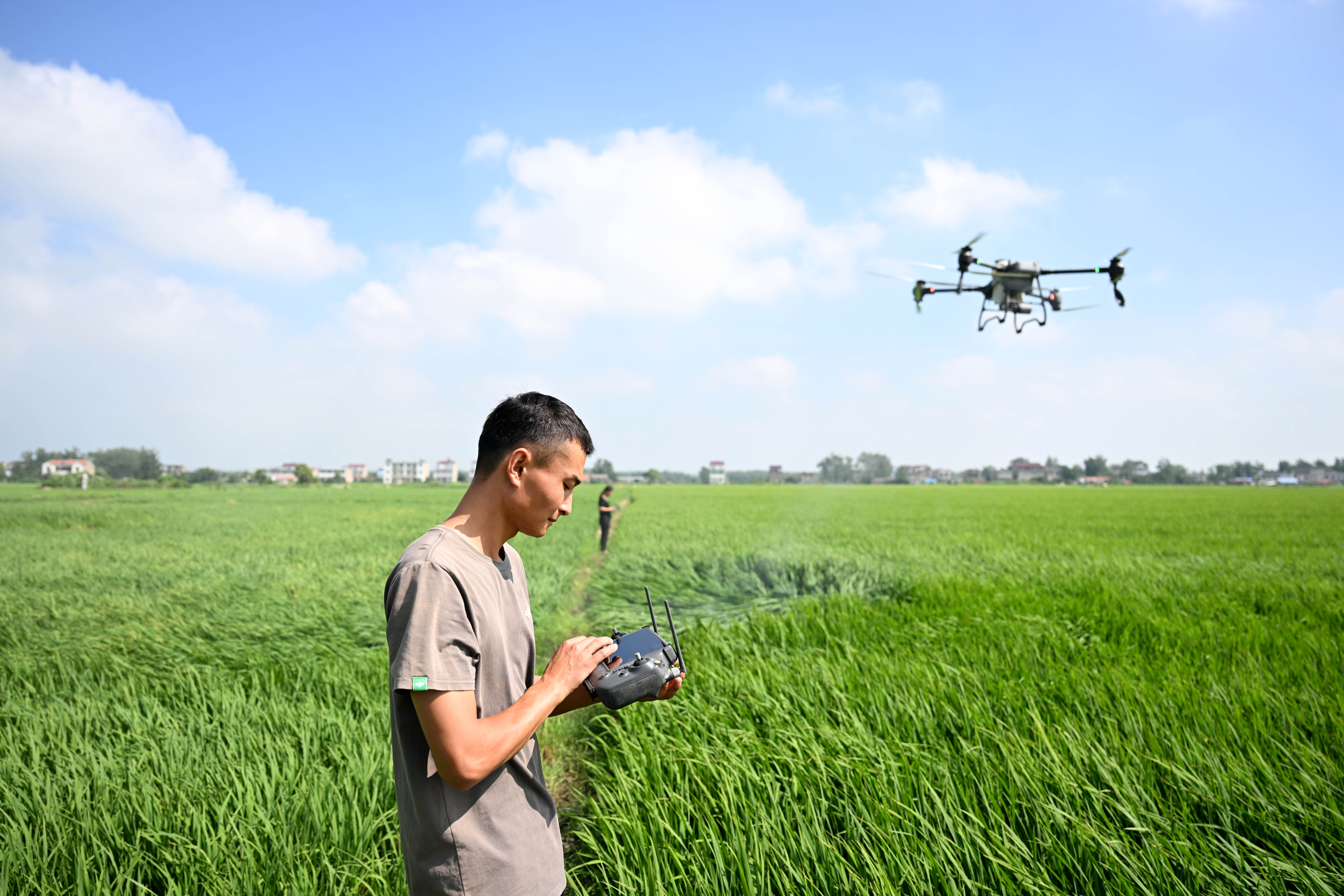 (图片故事)大学生"新农人"的田园创业梦