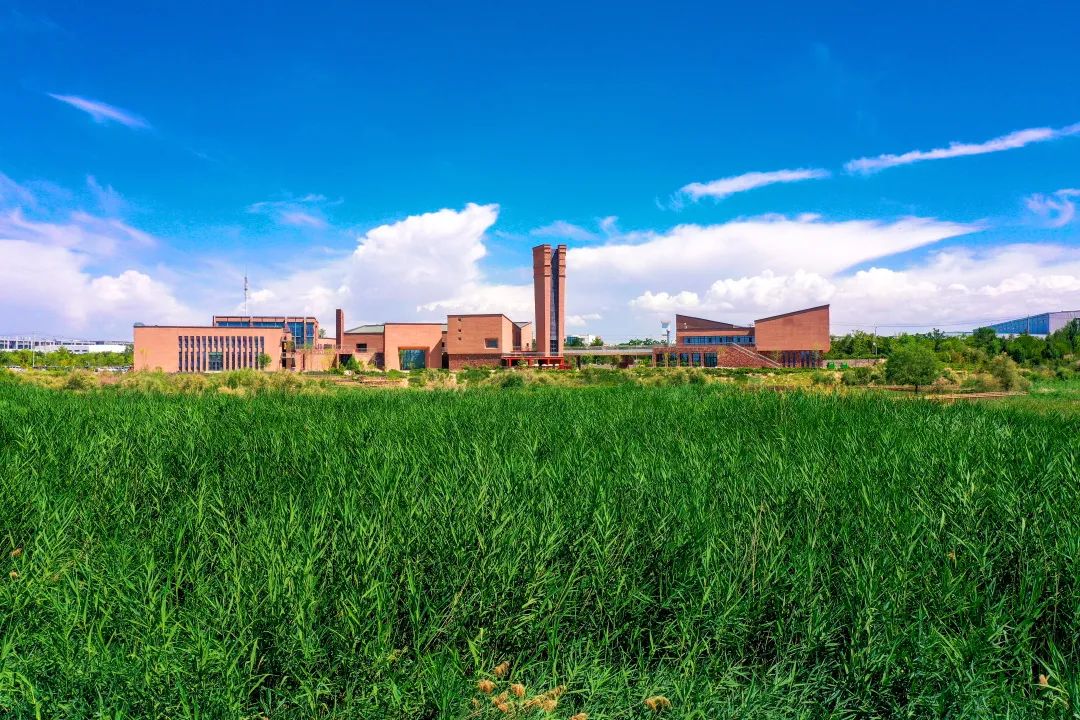 这里,是兰州新区秦王川湿地公园,是兰州新区目前最大的绿肺,为这一片