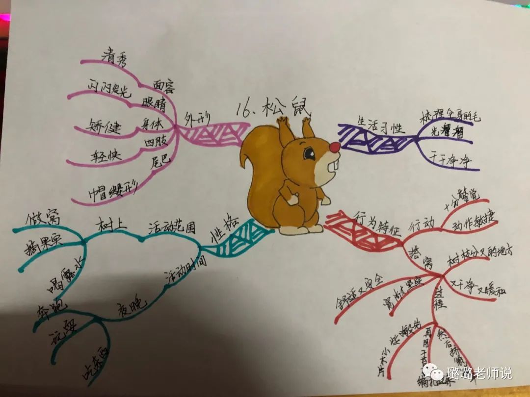 部编版语文五年级上册《重要知识点 思维导图》提前收藏,期末复习必备