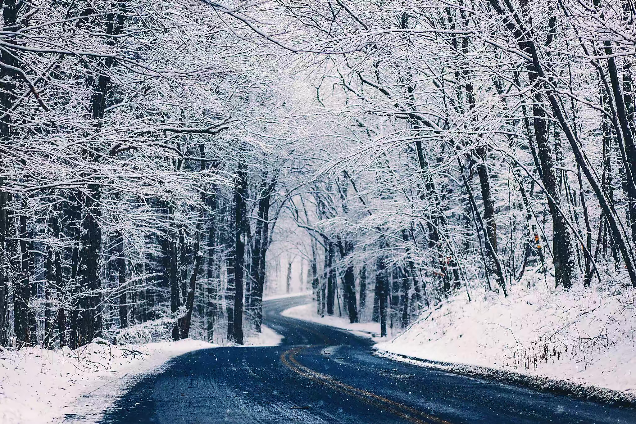 冬天来临,大雪皑皑的景象充满诱惑 充满魅力