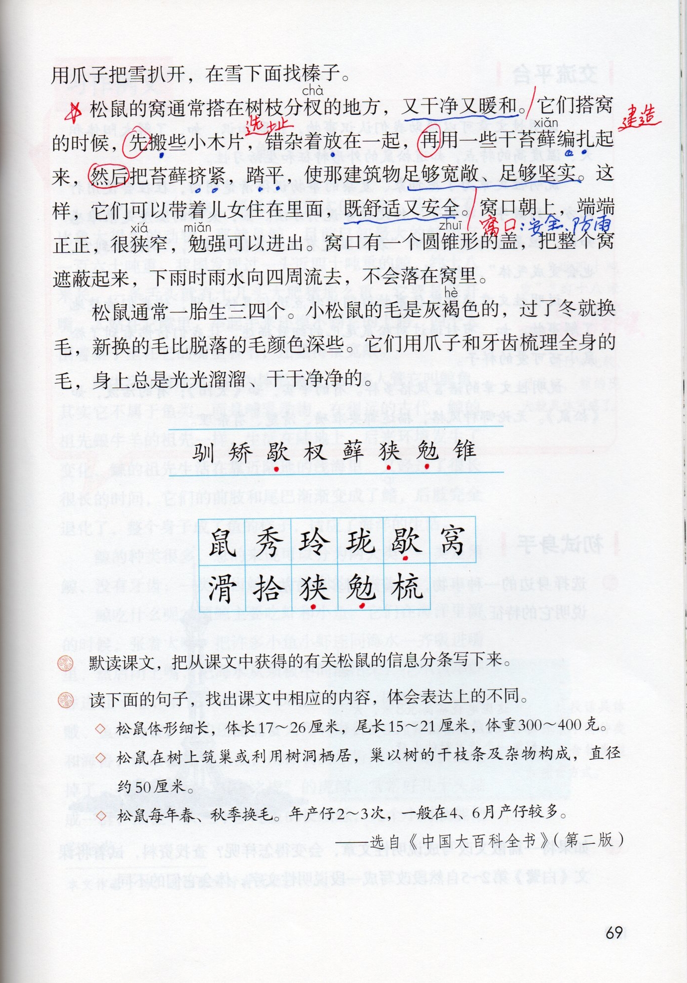 五上语文第17课《松鼠》学习笔记