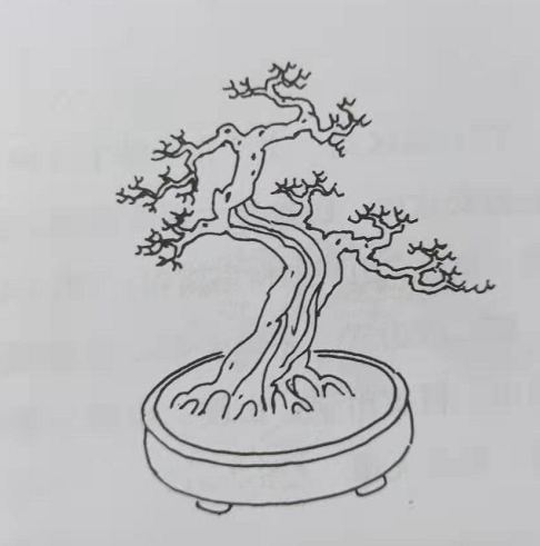 盆景造型的分解二(第二篇共7篇)