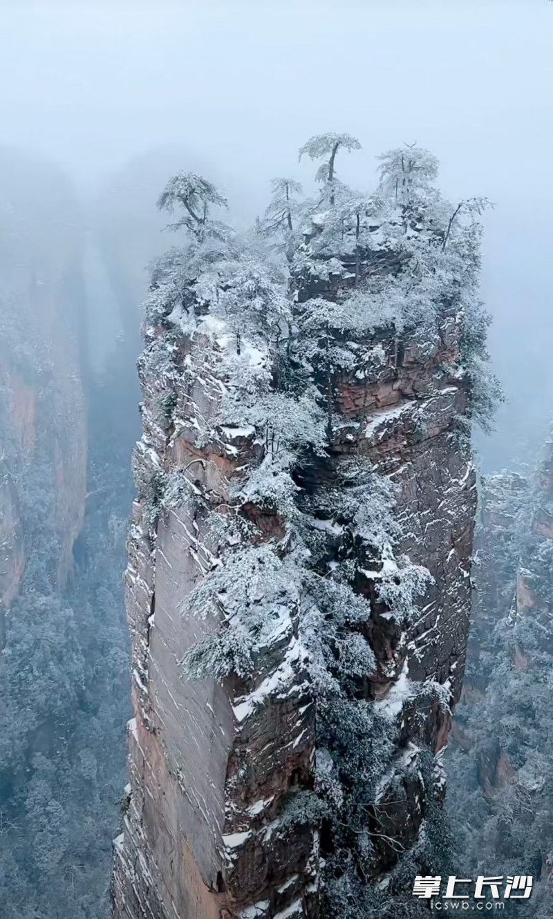 组图|张家界:美丽雪景引来游客上山打卡