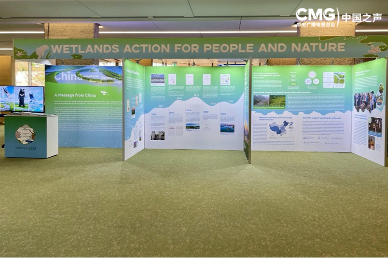 总台记者看世界丨在日内瓦分会场感受cop14中国力