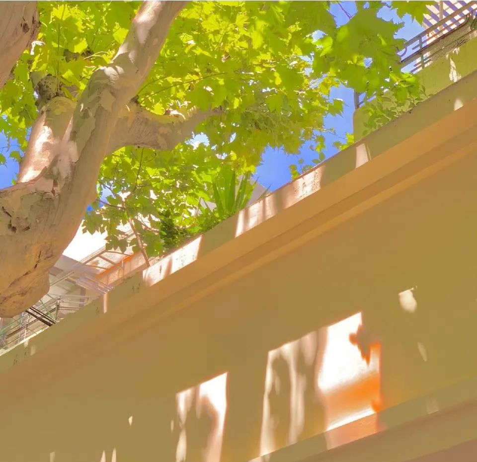 多款高级感ins小众背景图精选