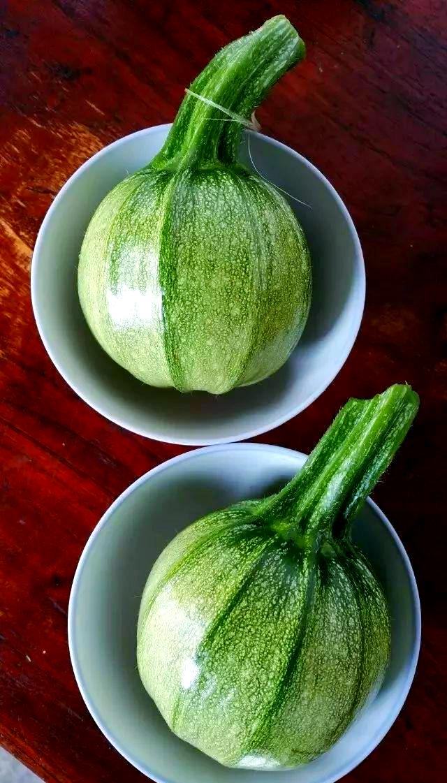 无量山独特美味食材