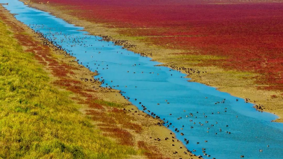 第八期"聚焦条子泥 摄影欢乐汇"旅拍,摄影名家面对面活动公开招募!