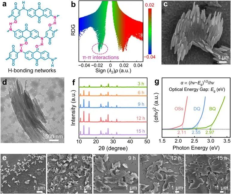 全球首个同济又有新突破