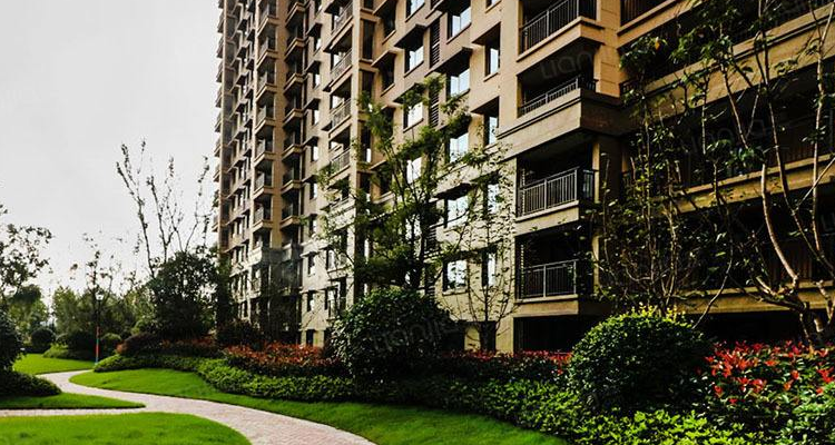 国合悦澜山多人放弃的原因