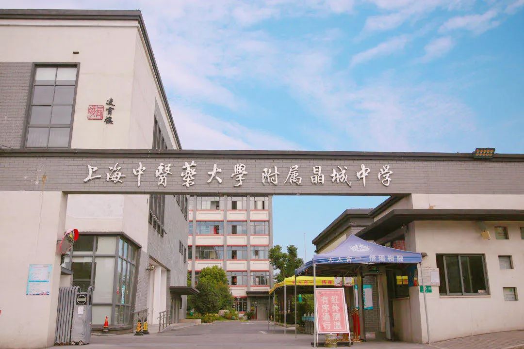 上海莘城中学图片