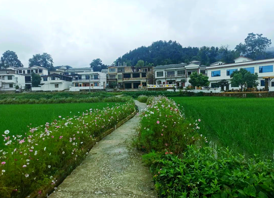 花溪区黔陶乡:打造多彩旅居,引领乡村产业蓬勃发展