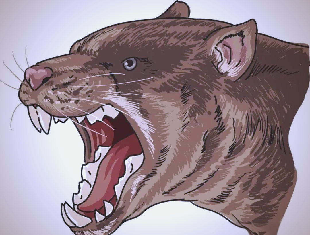 袋狮的头部复原图,揭示了其独特的齿列结构