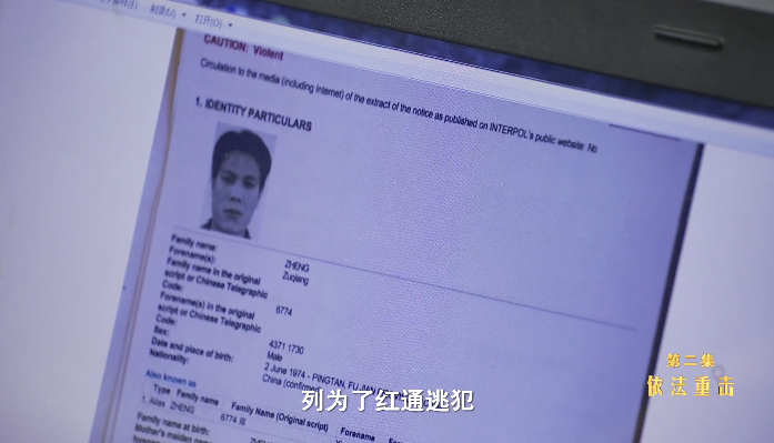 有黑必除,虽远必追!红通逃犯郑祖强被缉拿回国