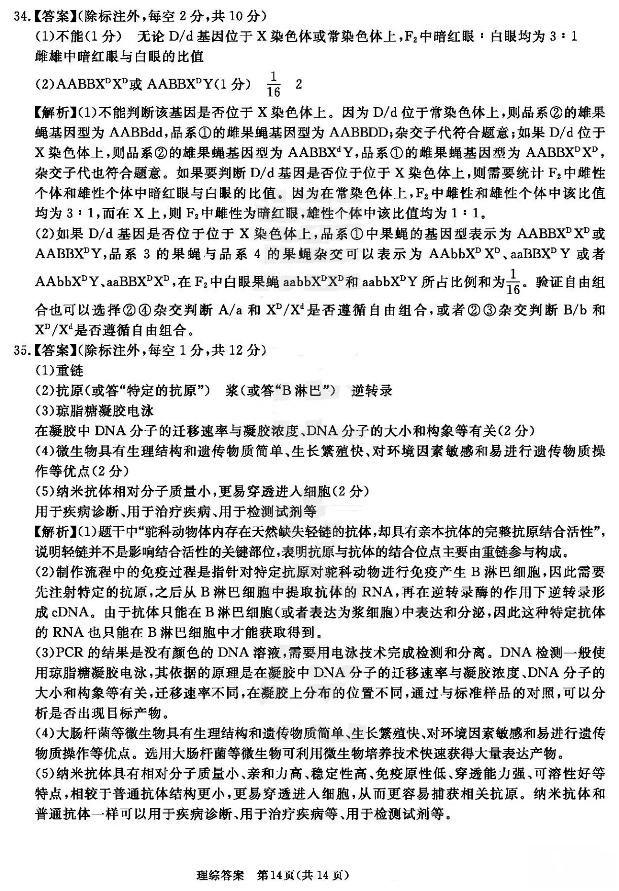 合肥八中2023屆最後一卷理科綜合參考答案