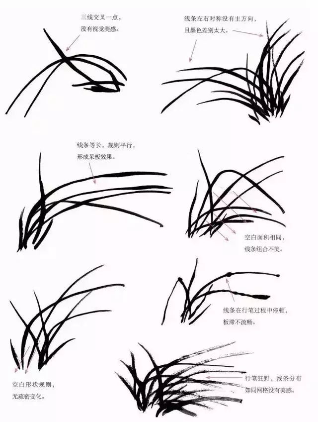 徐湛老师教你画兰花,兰草!主次,虚实,呼应等绘画关系大合集