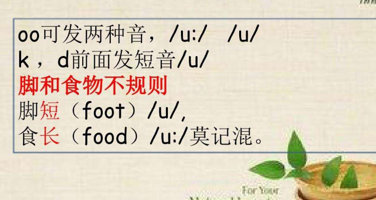 oo发音的/u/和/u:/的单词