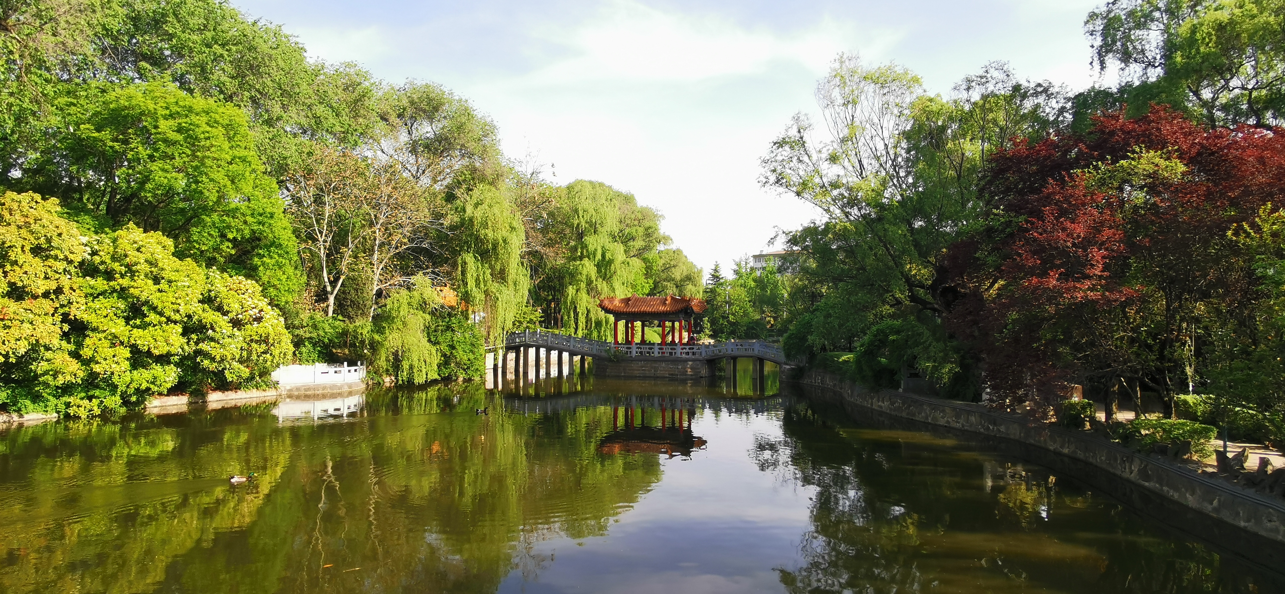 寻苏记之四:游黄土高原上的江南园林——凤翔东湖记