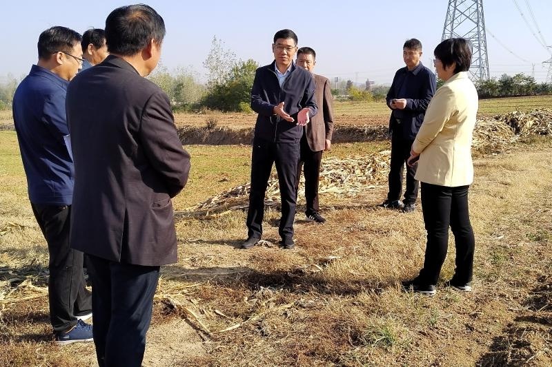 凤阳县县长王俊卿调研推动秋种工作
