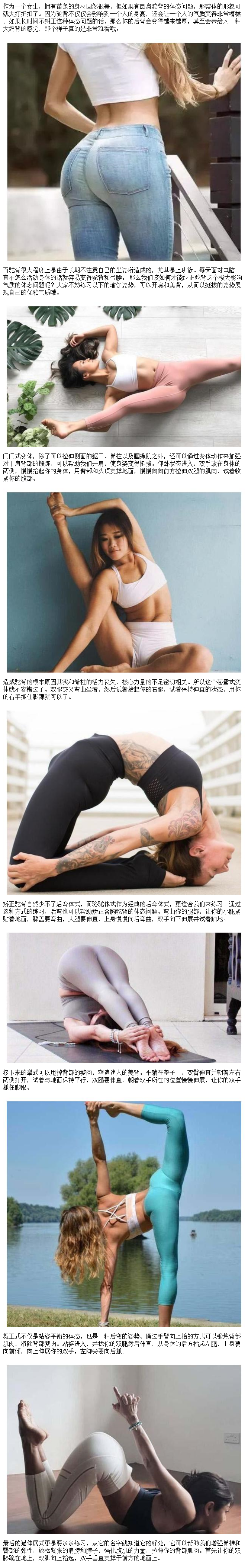 美背瑜伽体式大全图片