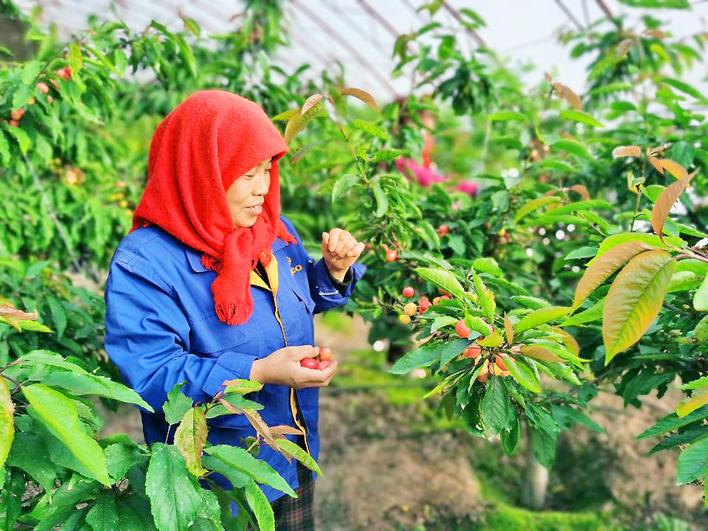 大但人文艺术47正式启航，开启全新文化探索之旅，深度解析多元艺术形态，共绘时代精神新画卷