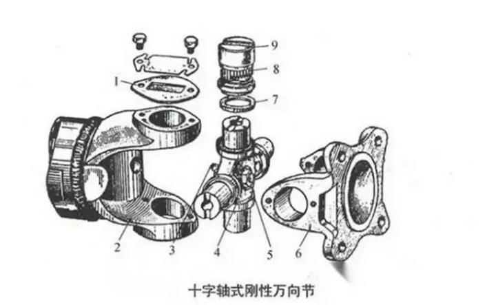 传动轴内部解剖图图片