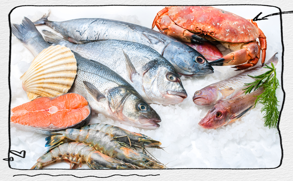 孩子成长必备,这些鱼肉类食物你知道吗