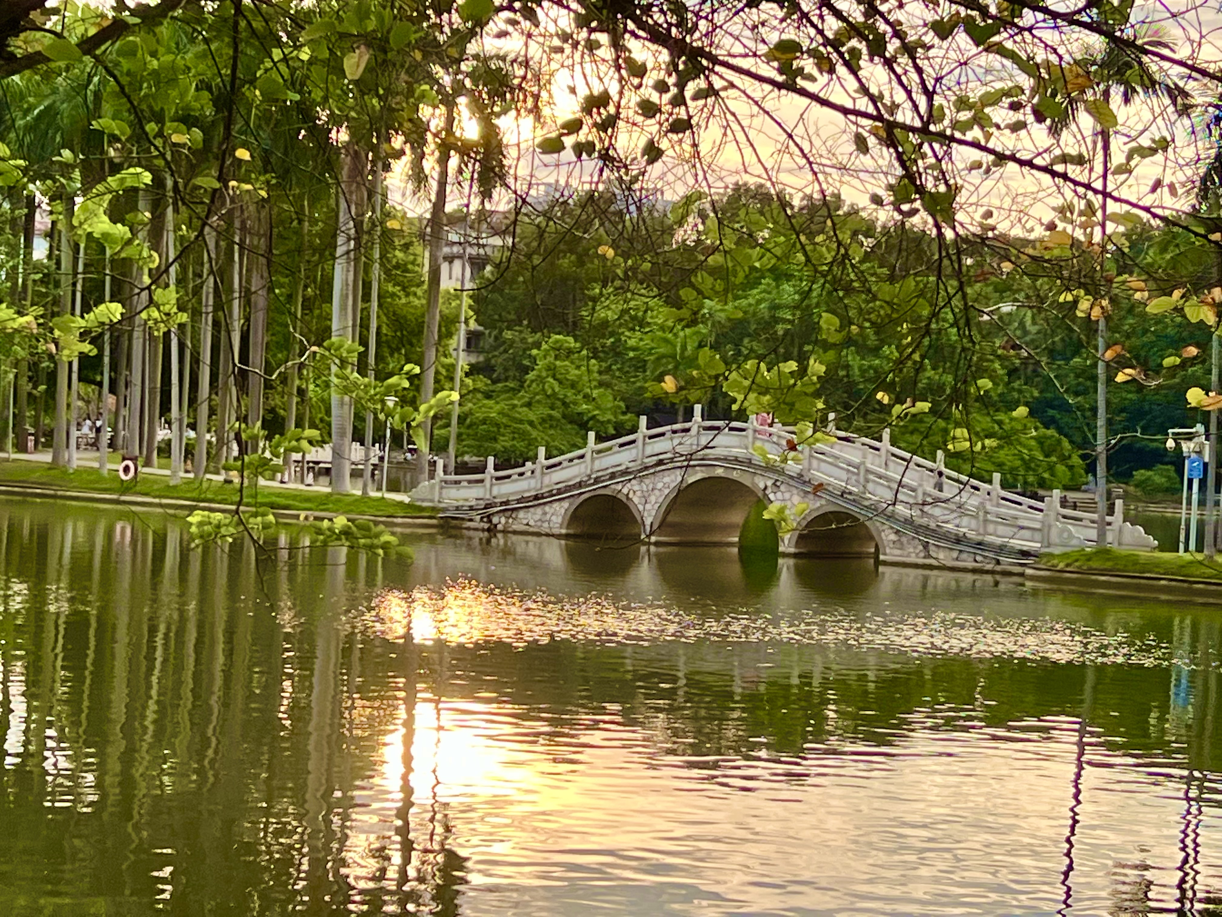 星辰出行寻找童年记忆:南宁人民公园