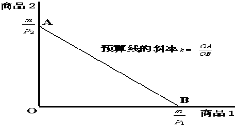 预算线的位置和斜率取决于