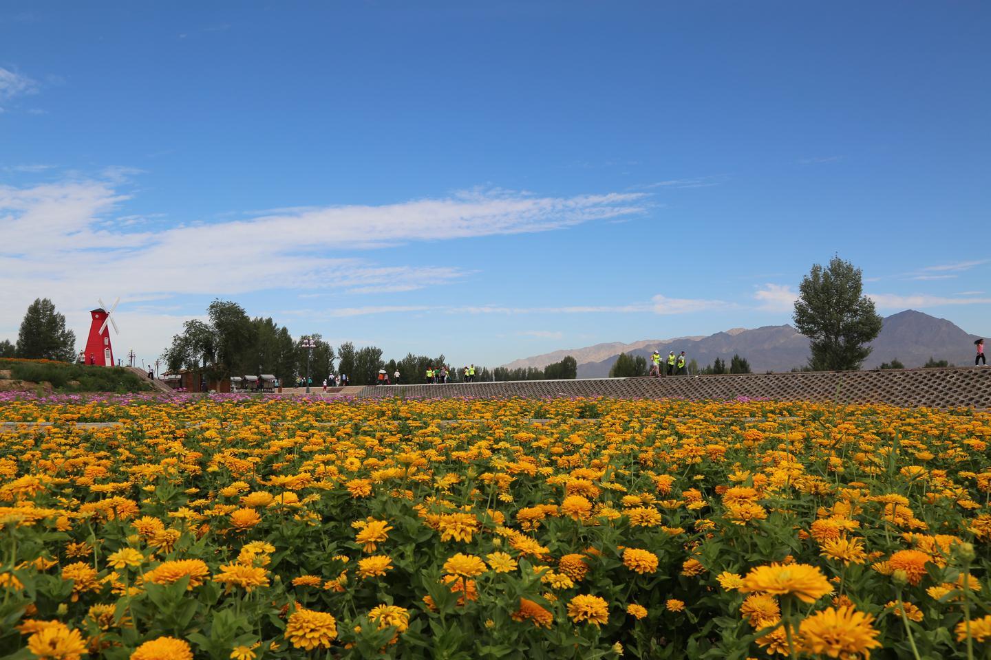 甘肃山丹县五年发展成果剪影(四):尽锐出战 决战贫困 乡村振兴实现