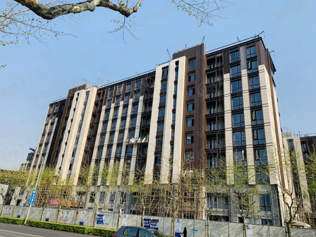 均价111983元/平 浦东豪宅碧云尊邸实测