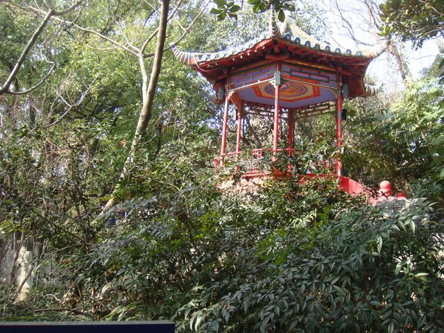 来上东山巅,风流千古闻——游江宁东山公园