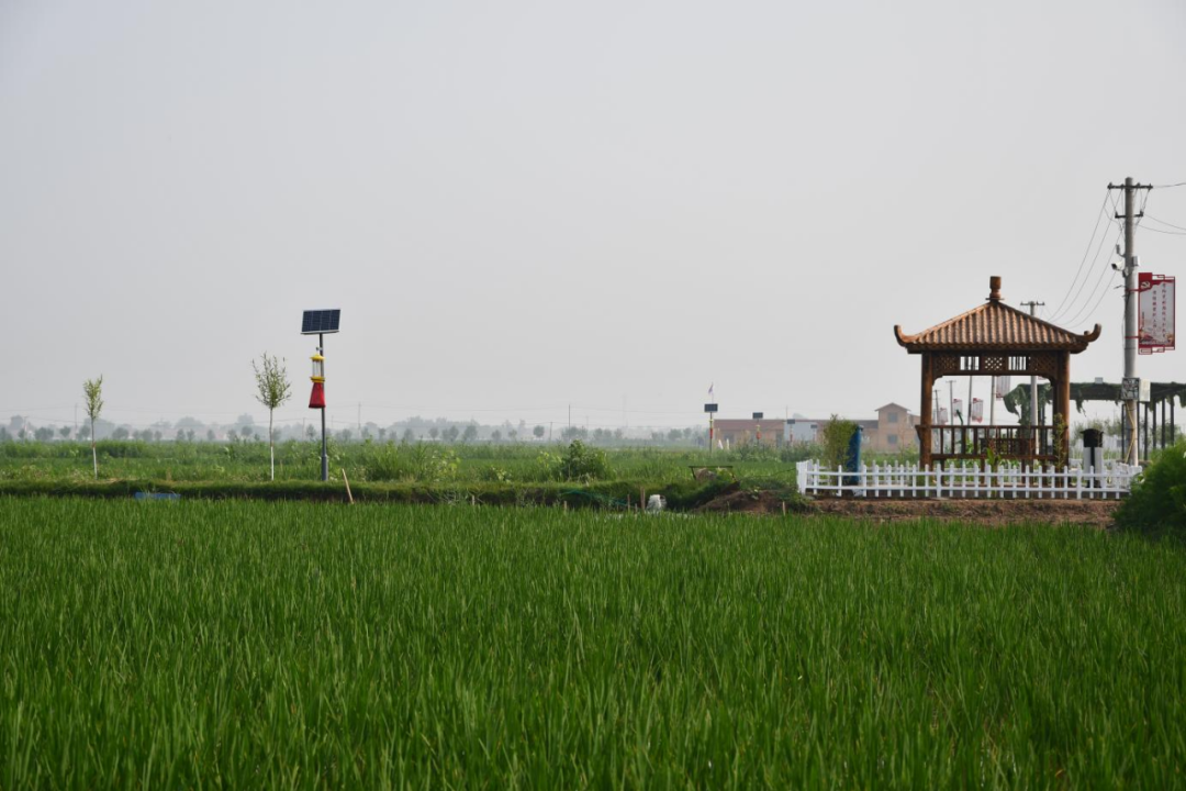 南堤村成功入选第三批省级乡村旅游重点村