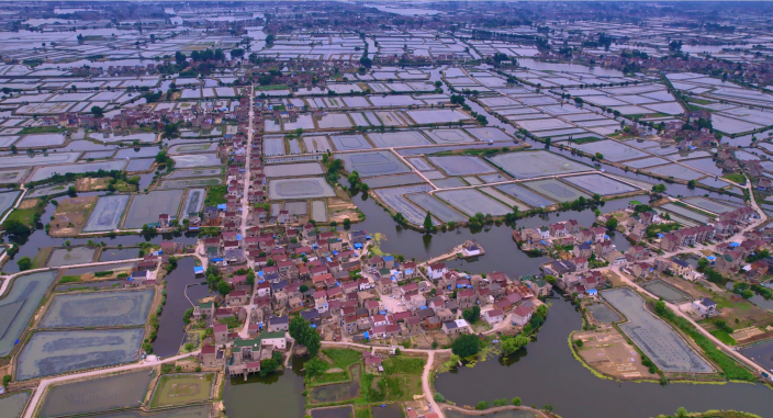 当涂县塘南镇:"技创 科创"双驱发力 念活农民致富新经